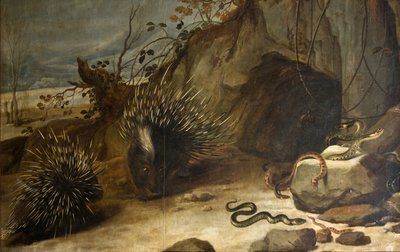 Stekelvarkens en adders door Frans Snyders or Snijders